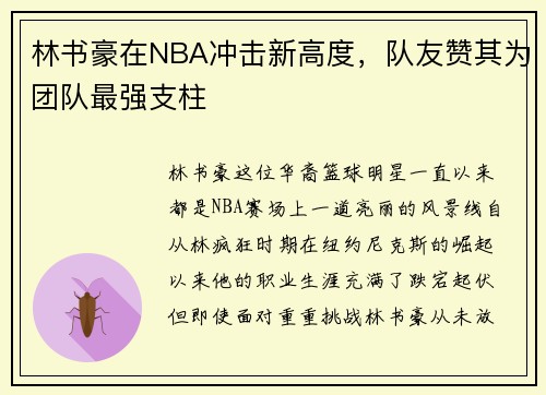 林书豪在NBA冲击新高度,队友赞其为团队最强支柱