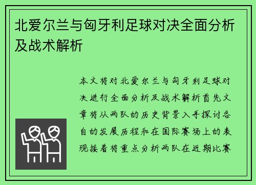 北爱尔兰与匈牙利足球对决全面分析及战术解析