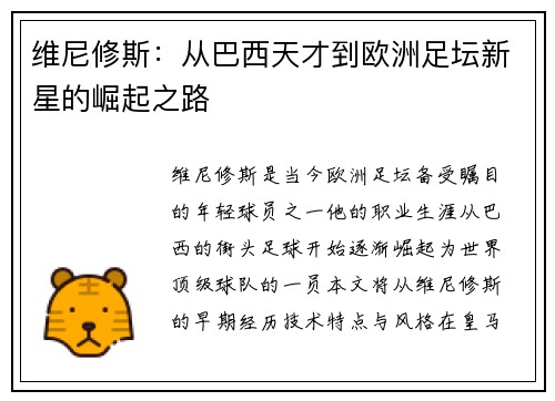 维尼修斯：从巴西天才到欧洲足坛新星的崛起之路